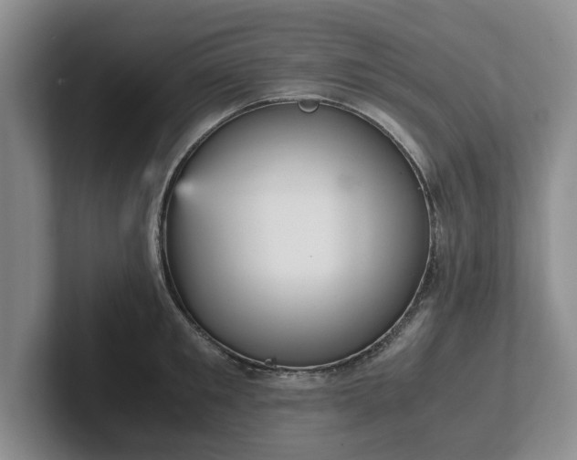 X0000102470901200808151425