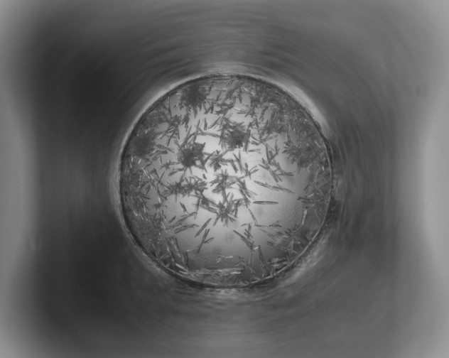 X0000102470903200808151425