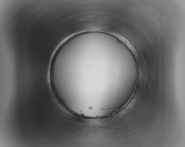 X0000102470904200808151425