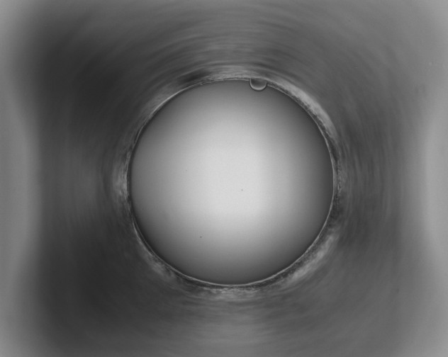 X0000102470905200808151425