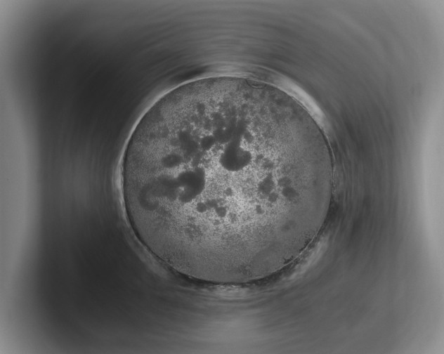 X0000102470907200808151425