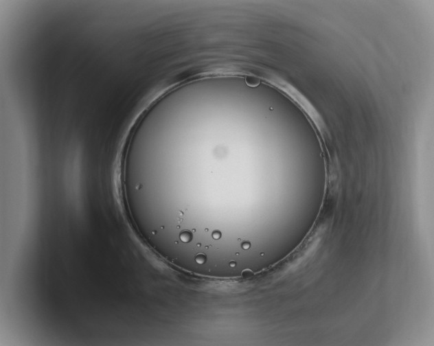 X0000102470909200808151425