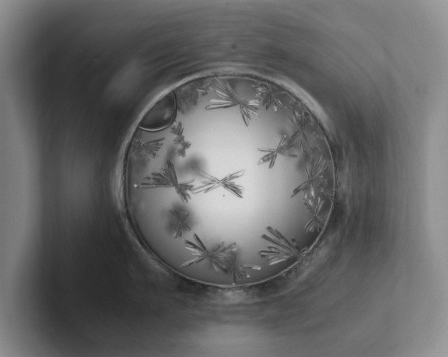 X0000102470911200808151425