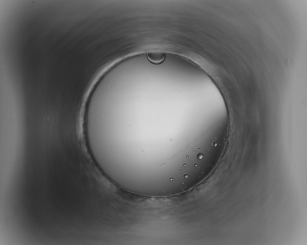 X0000102470912200808151425