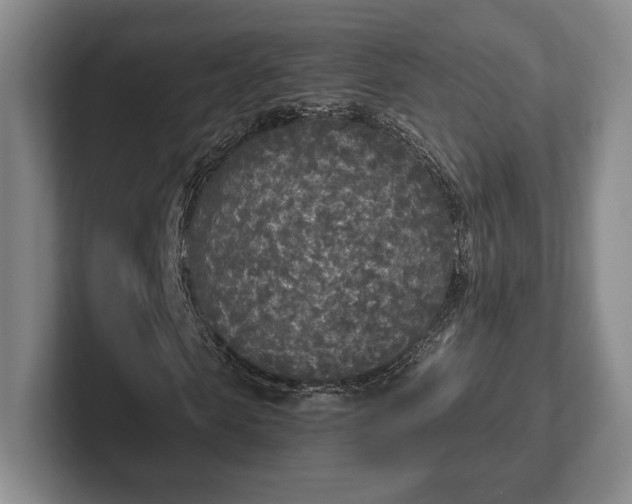 X0000102470913200808151425