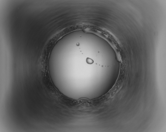 X0000102470919200808151425
