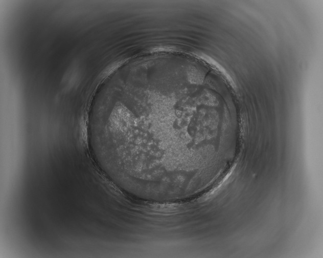 X0000102470921200808151425