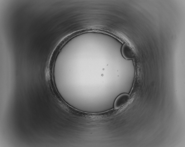 X0000102470924200808151425