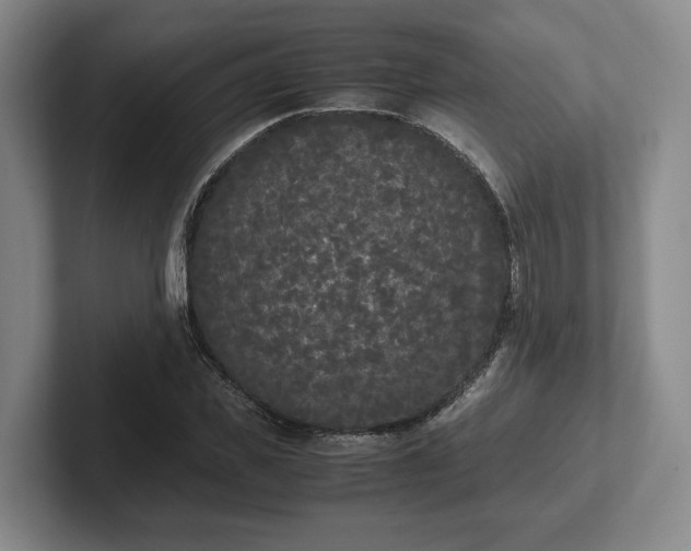 X0000102470925200808151425