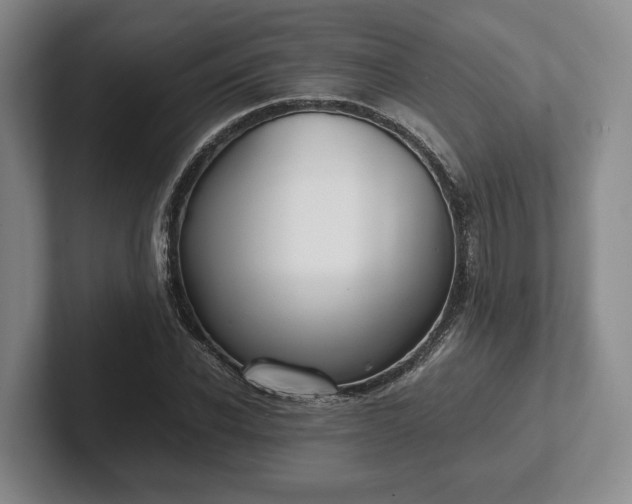 X0000102470926200808151425