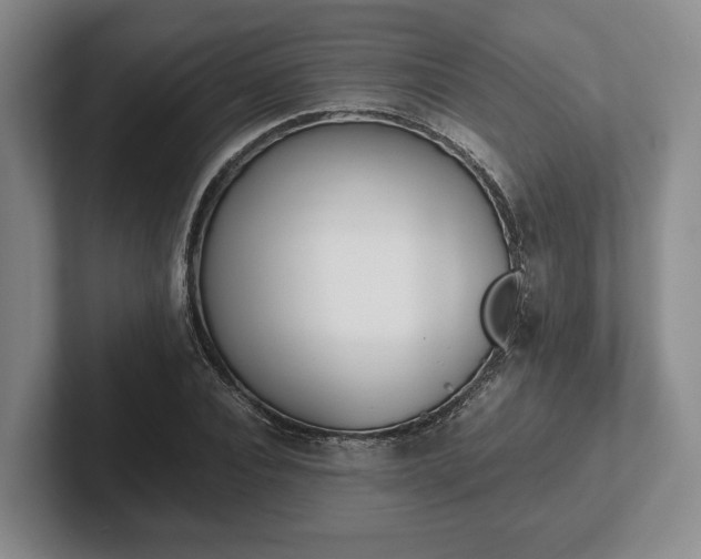 X0000102470928200808151425