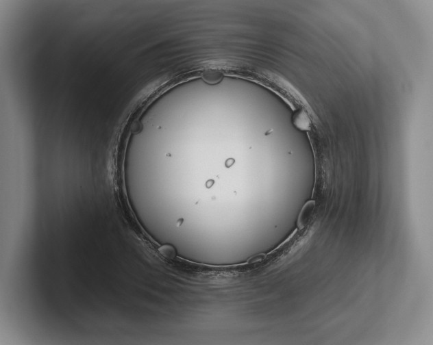 X0000102470930200808151425