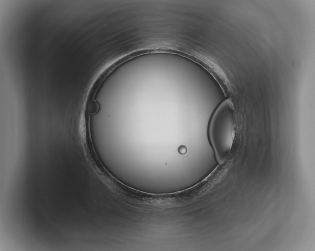 X0000102470936200808151425