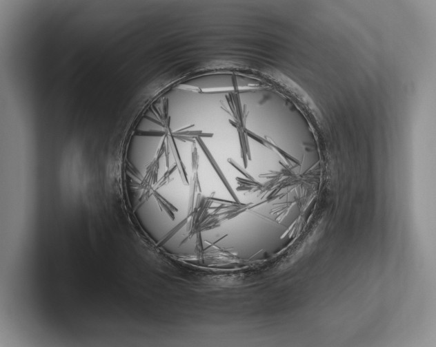 X0000102470937200808151425
