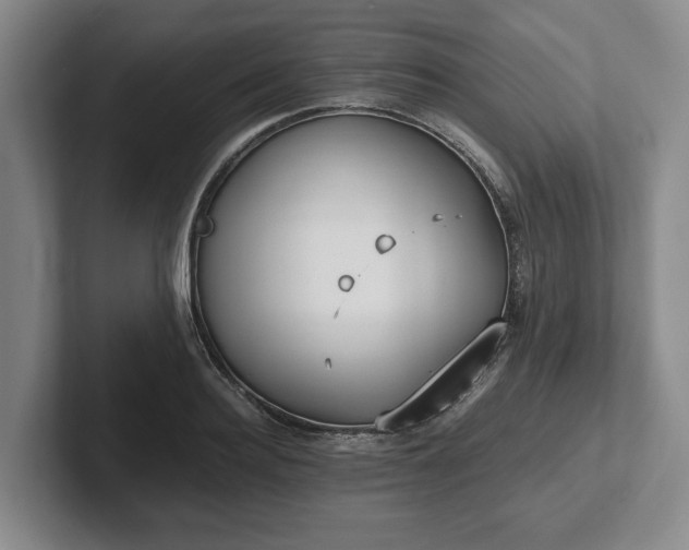X0000102470940200808151425