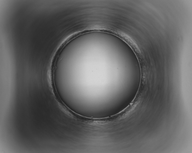 X0000102470942200808151425