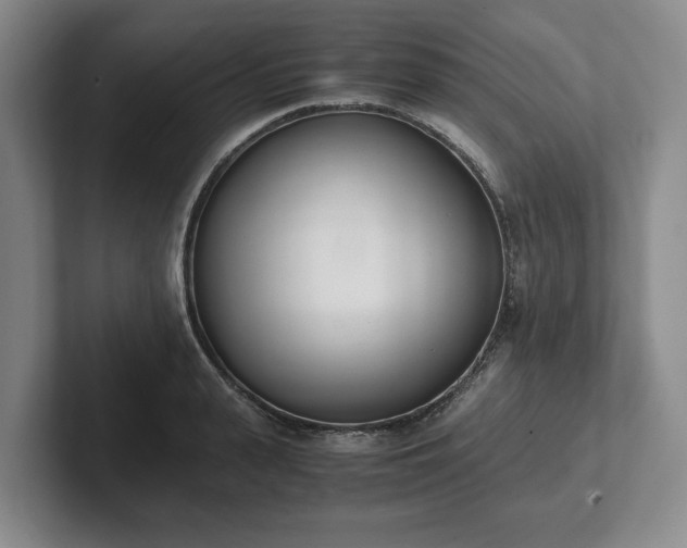 X0000102470943200808151425