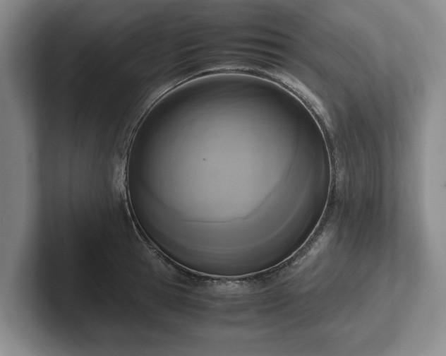 X0000102470945200808151425