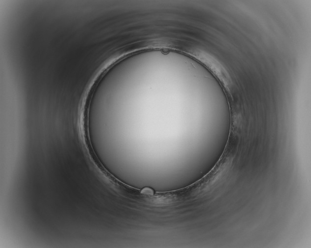 X0000102470947200808151425