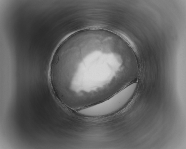 X0000102470948200808151425