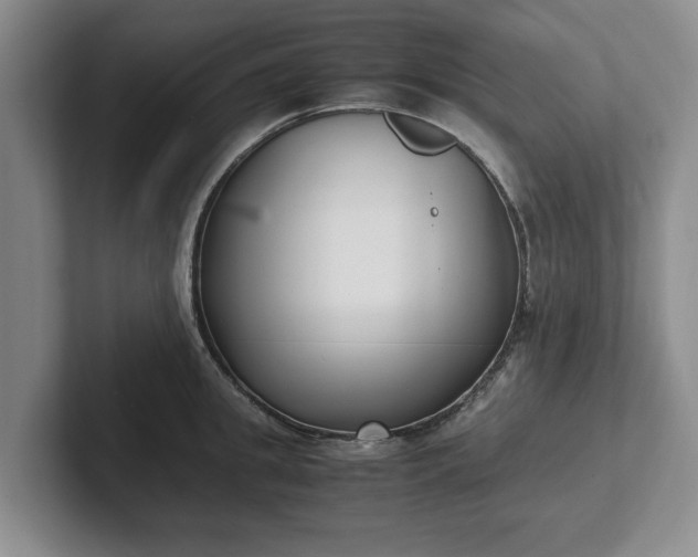 X0000102470949200808151425