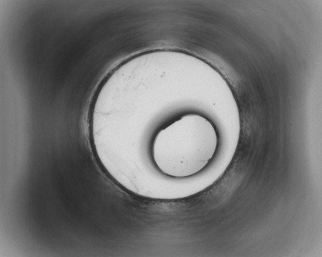 X0000102470950200808151425