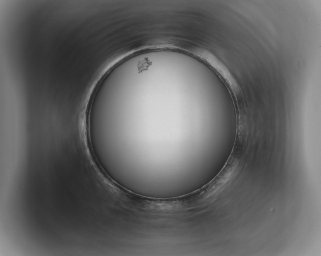 X0000102470951200808151425