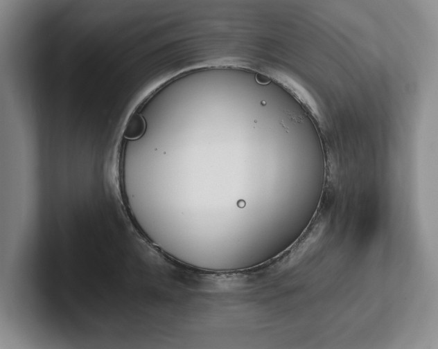 X0000102470952200808151425