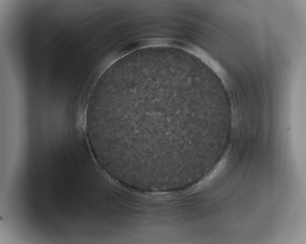 X0000102470953200808151425