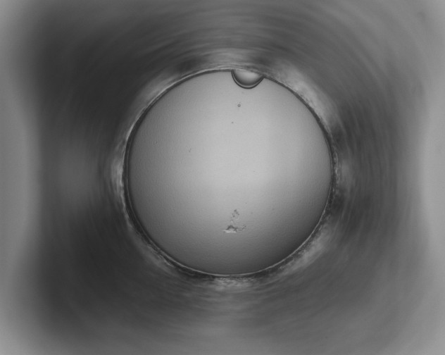 X0000102470954200808151425