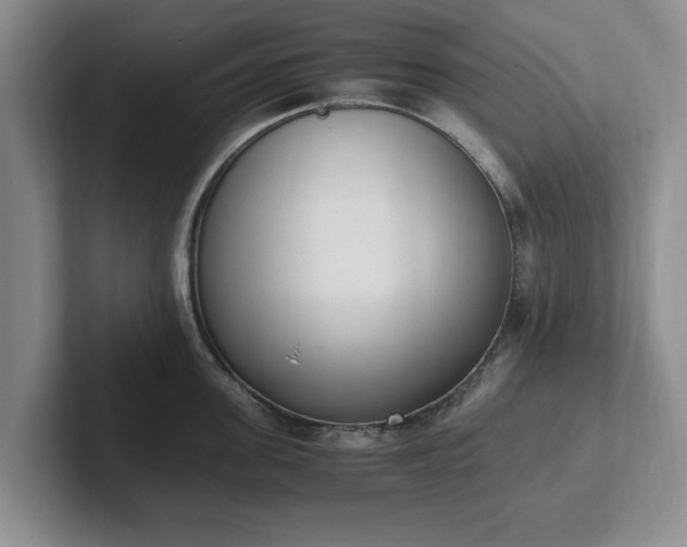 X0000102470955200808151425