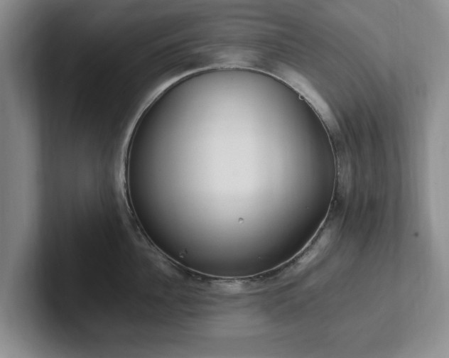 X0000102470956200808151425