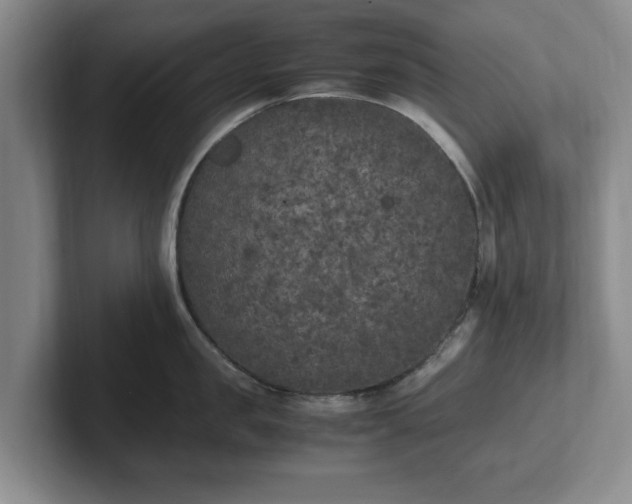 X0000102470957200808151425