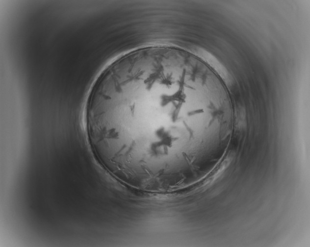 X0000102470958200808151425
