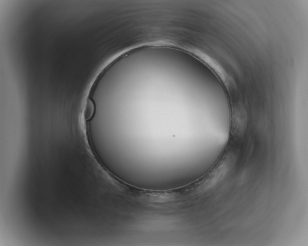 X0000102470959200808151425