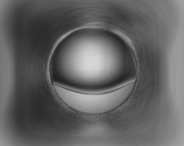 X0000102470960200808151425