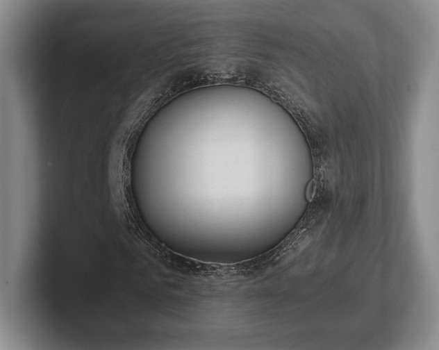 X0000102470961200808151425