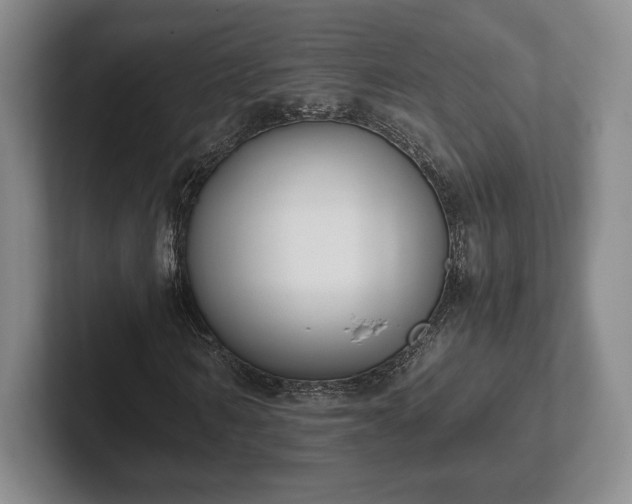 X0000102470962200808151425