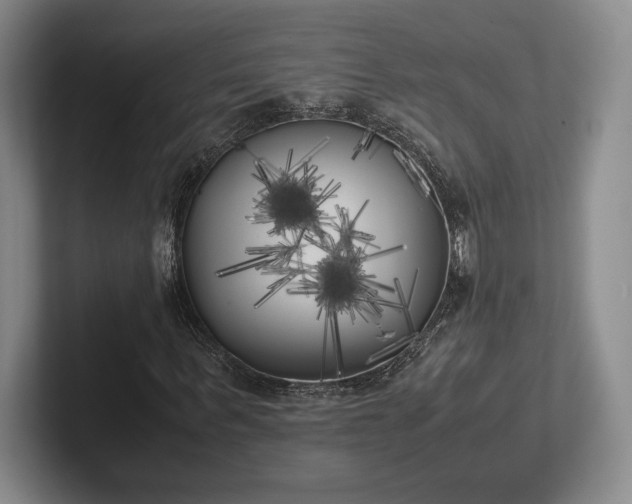 X0000102470963200808151425