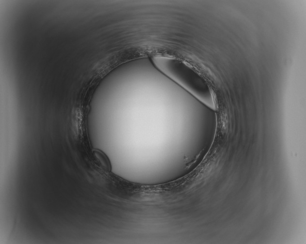 X0000102470964200808151425
