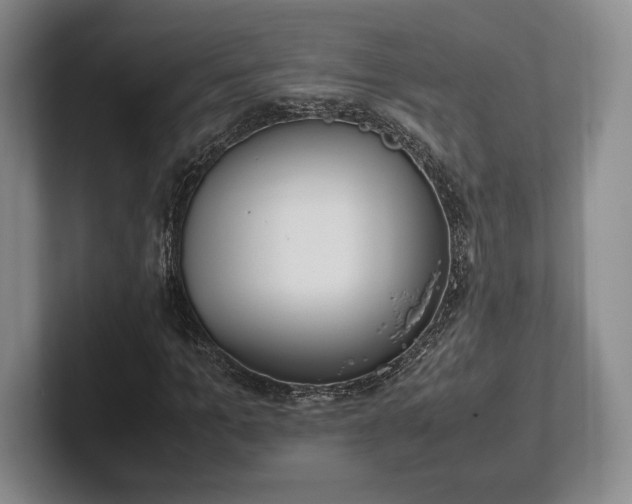 X0000102470965200808151425