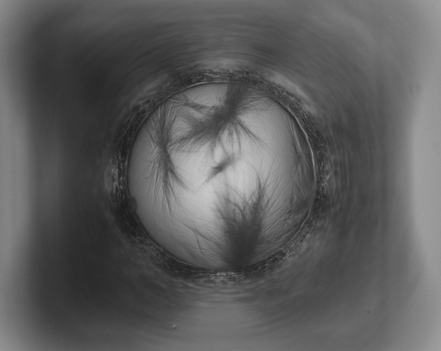 X0000102470966200808151425