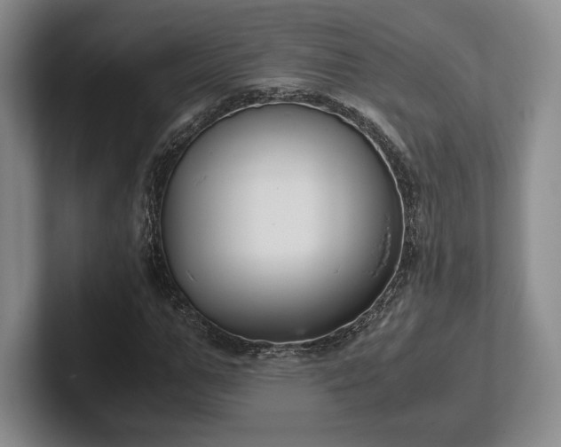X0000102470967200808151425