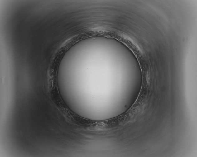 X0000102470968200808151425