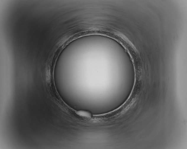 X0000102470969200808151425