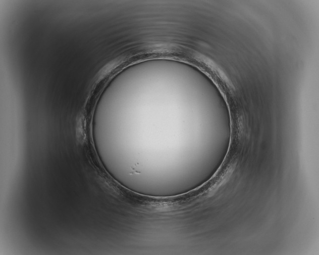 X0000102470970200808151425