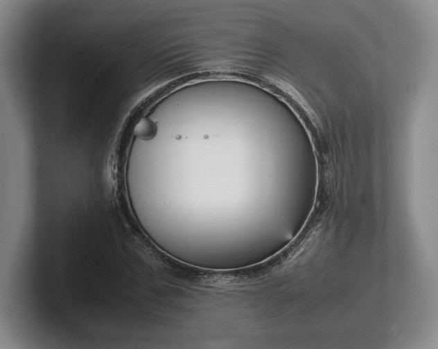 X0000102470971200808151425