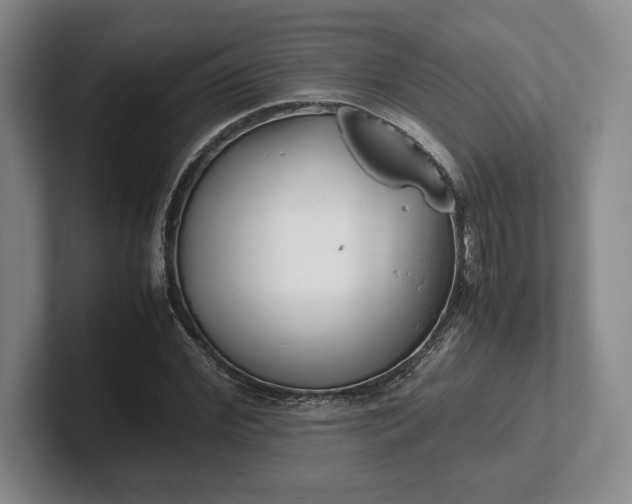 X0000102470972200808151425