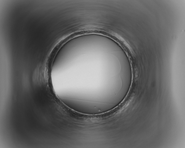 X0000102470973200808151424
