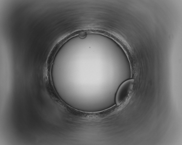 X0000102470974200808151424